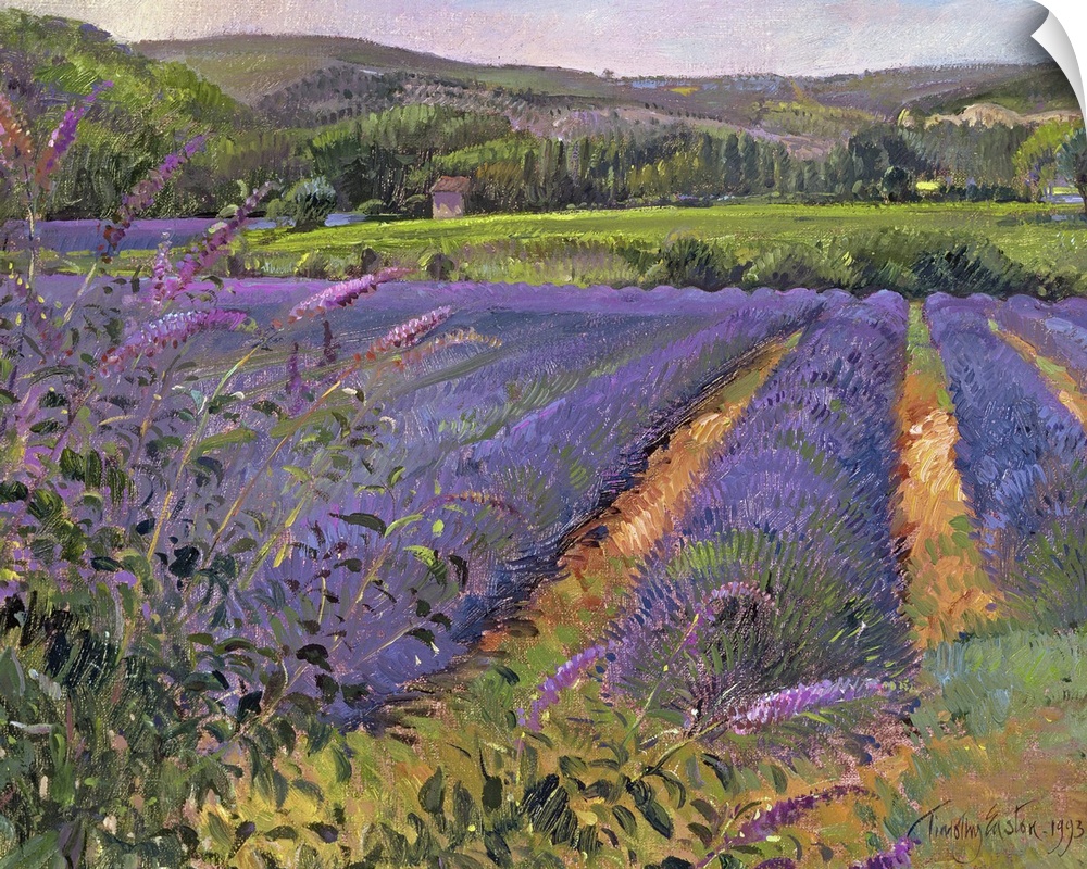 Contemporary artwork of a lavender field that shows the flower close up with trees and hills seen off in a distance.
