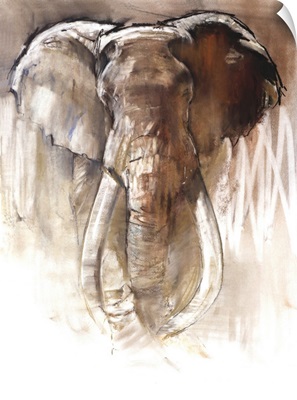 Bull Elephant, 2018