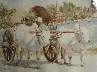 Bullock Cart Taxi Round The Temples