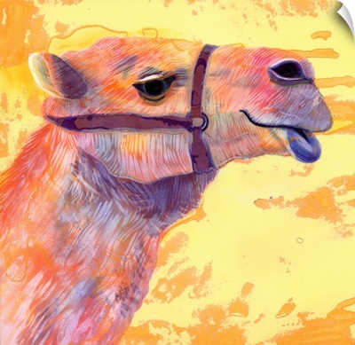 Camel, 1994
