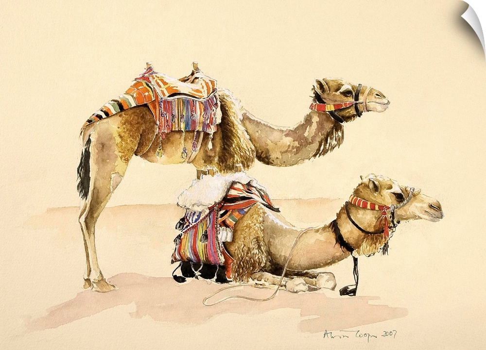 Contemporary painting of two camels resting in the desert.