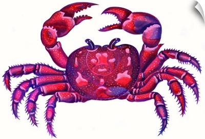 Cancer The Crab, 1996