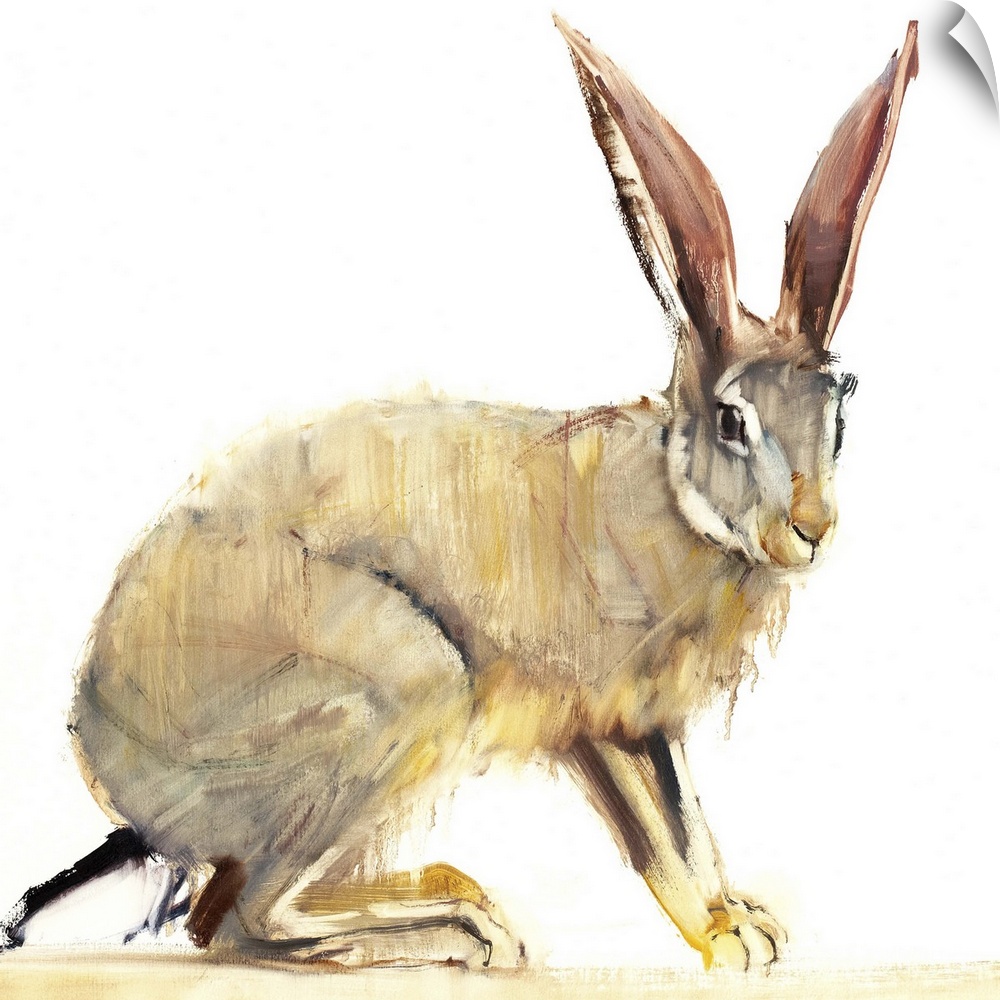 Contemporary wildlife painting of a large hare.