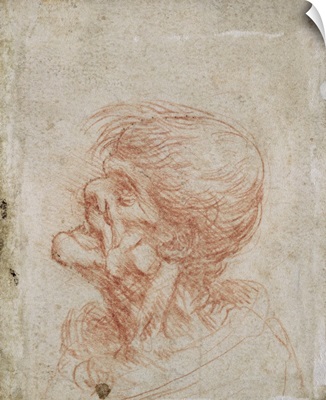 Caricature Head Study of an Old Man, c.1500-05
