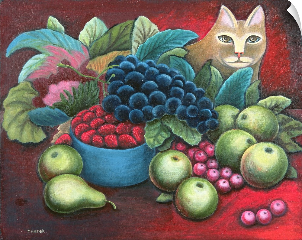 Cat and Fruit