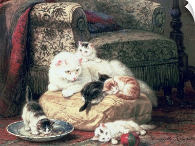 Cat with her Kittens on a Cushion
