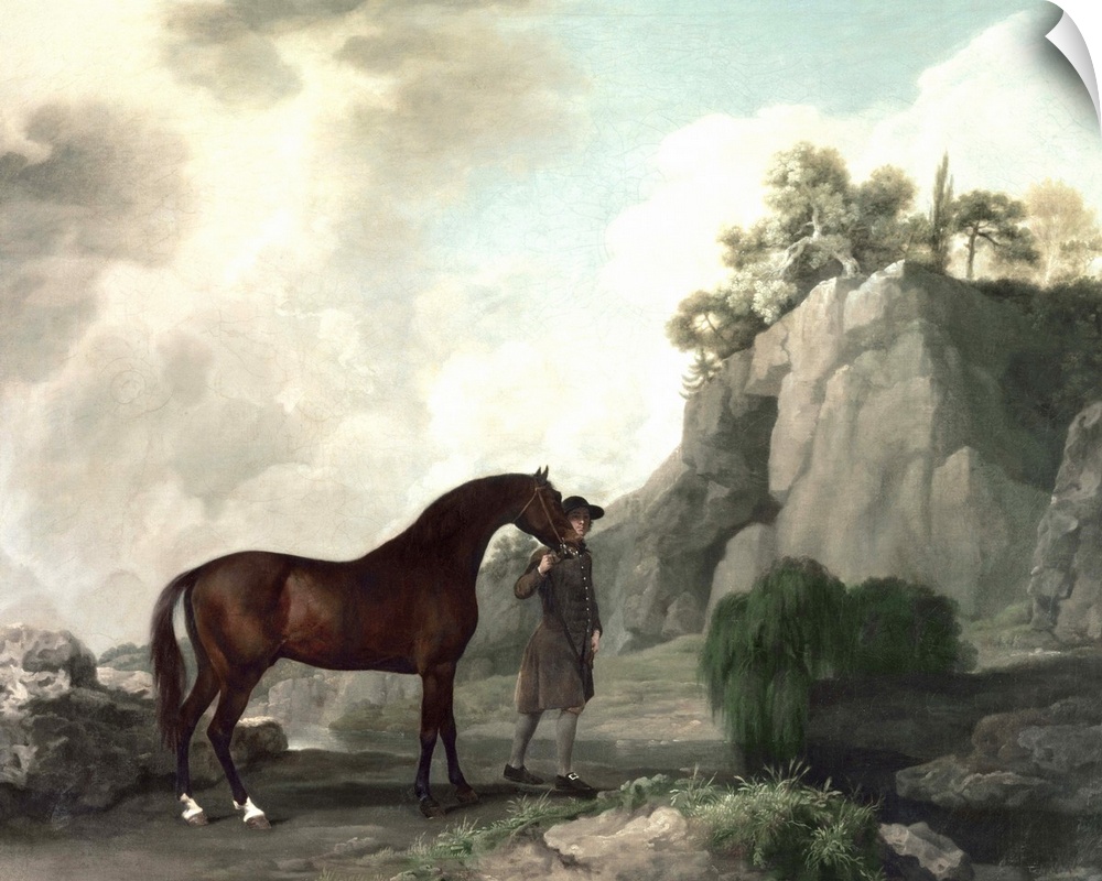 BAL2026 'Cato' and Groom (oil on canvas)  by Stubbs, George (1724-1806); Private Collection; English, out of copyright
