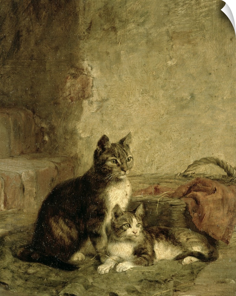 BAL13847 Cats, 1883 (oil on canvas)  by Adam, Julius (1852-1913); Private Collection; German, out of copyright