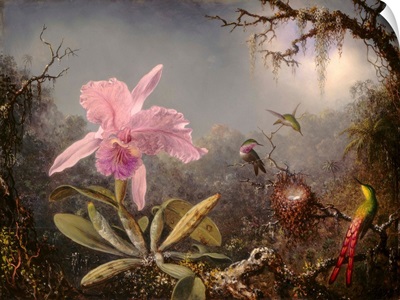 Cattleya Orchid And Three Hummingbirds, 1871