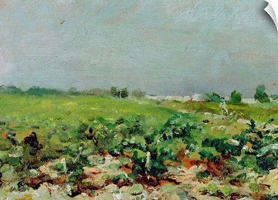Celeyran, View of the Vineyard, 1880