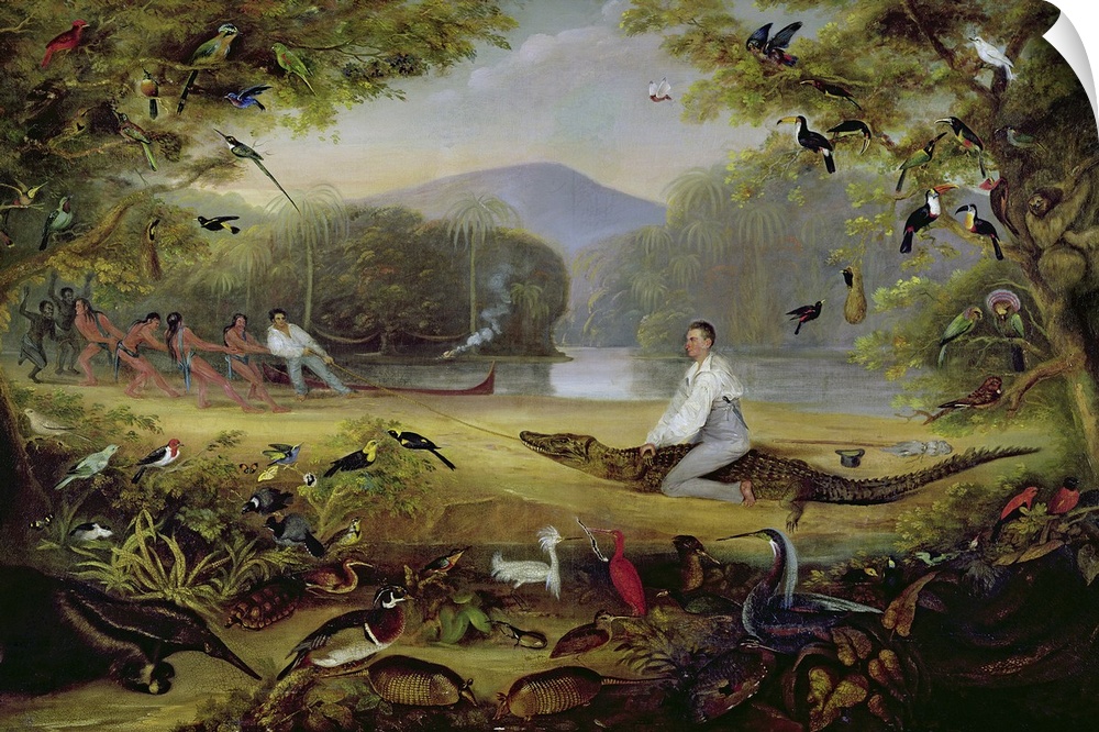 BAL78085 Charles Waterton capturing a cayman, 1825-26  by Jones, Captain Edward (fl.1825); oil on canvas; Private Collecti...