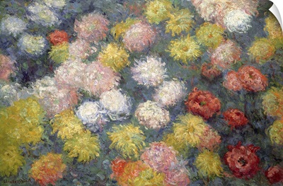 Chrysanthemums, 1897