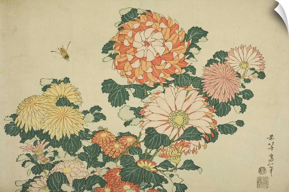 Chrysanthemums and Bee, from an untitled series of Large Flowers, c.1833-34, colour woodblock print.