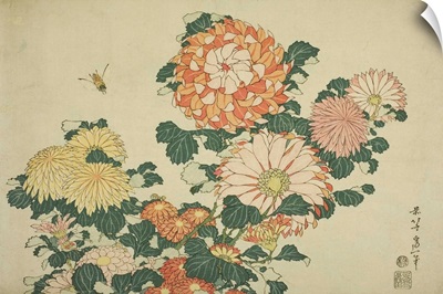 Chrysanthemums and Bee, from an untitled series of Large Flowers, c.1833-34