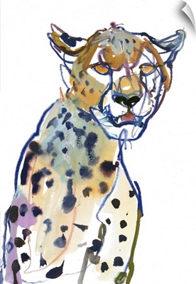 Chyulu Cheetah, 2022