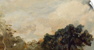 Cloud Study with Trees, 1821