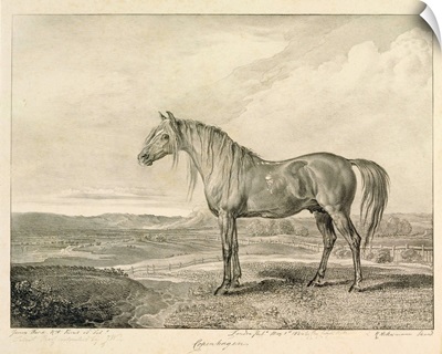 Copenhagen, from 'Celebrated Horses', a set of fourteen racing prints published