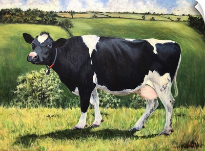 Cow, 2021