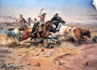 Cowboys roping a steer, 1897