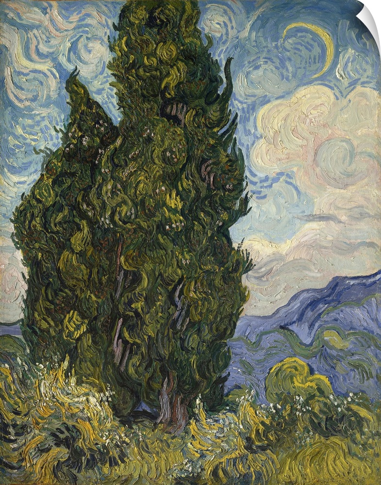 Cypresses, 1889