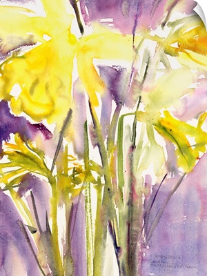 Daffodils, 2004