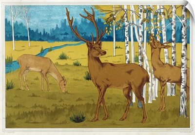 Deer, From 'L'Animal Dans La Decoration' By Maurice Pillard Verneuil, Pub 1897