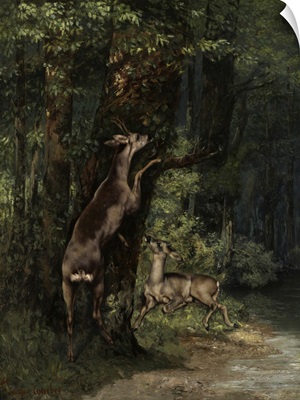 Deer in the Forest, 1868