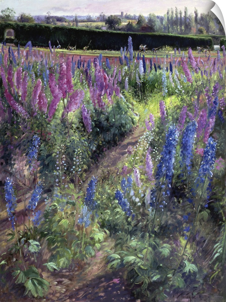 Delphinium Field And Hoers, 1991