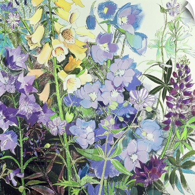 Delphiniums and Foxgloves