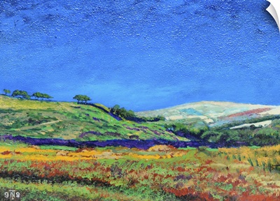 Derbyshire landscape, 1999