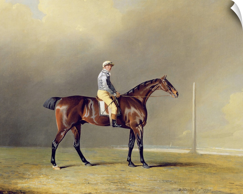 XYC136263 Diamond, with Dennis Fitzpatrick Up, 1799 (oil on canvas)  by Marshall, Benjamin (1767-1835); 86.2x104 cm; Yale ...