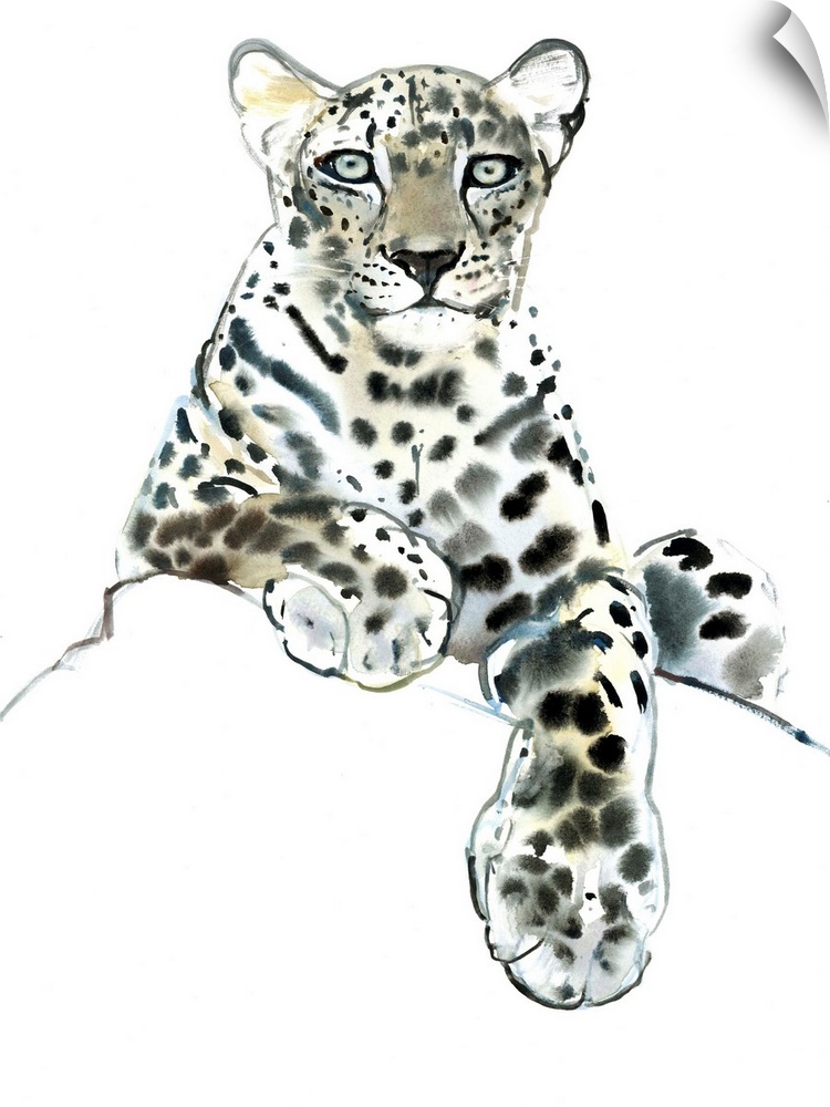 Direct (Arabian Leopard) by Mark Adlington.