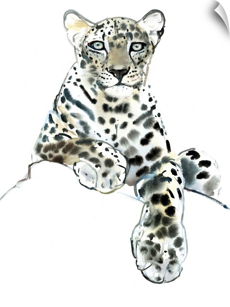 Direct, Arabian Leopard, 2015, watercolour and gouache on paper.  By Mark Adlington.
