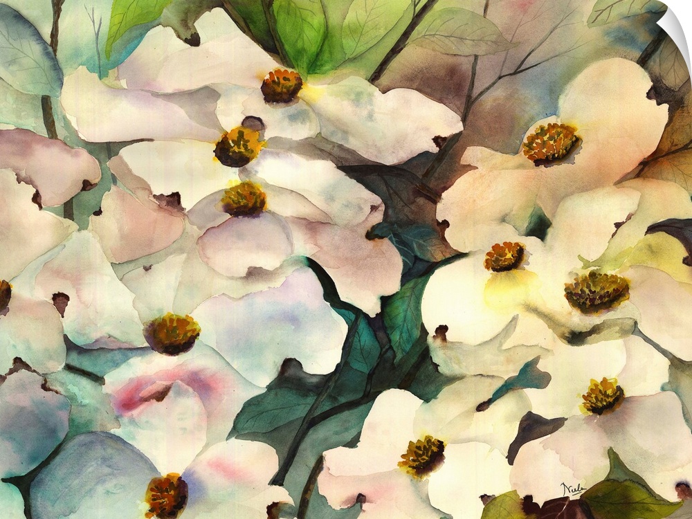 Contemporary watercolor painting of dogwood flowers.