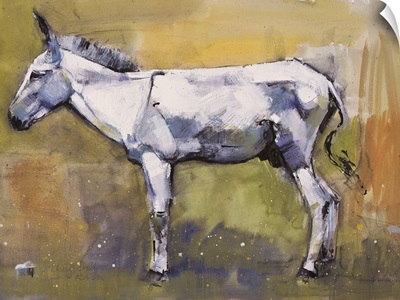 Donkey Stallion, Ronda, 1998
