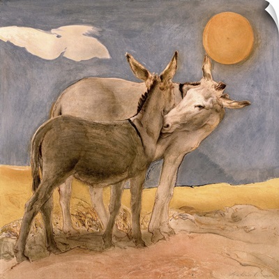 Donkeys, 1989
