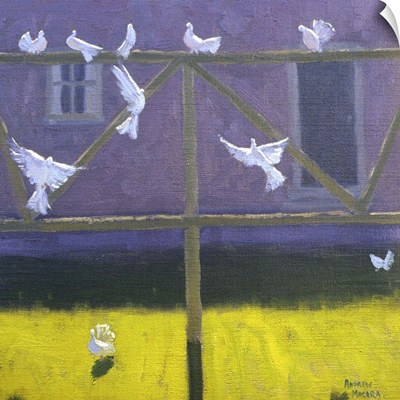Doves, 1999