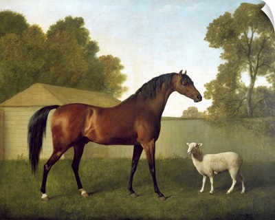 Dungannon, the property of Colonel OKelly, painted in a paddock with a sheep, 1793