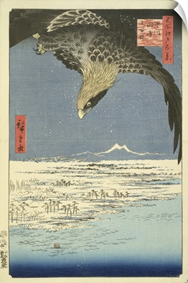 Eagle Over 100,000 Acre Plain at Susaki, Fukagawa