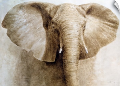 Elephant, 2004