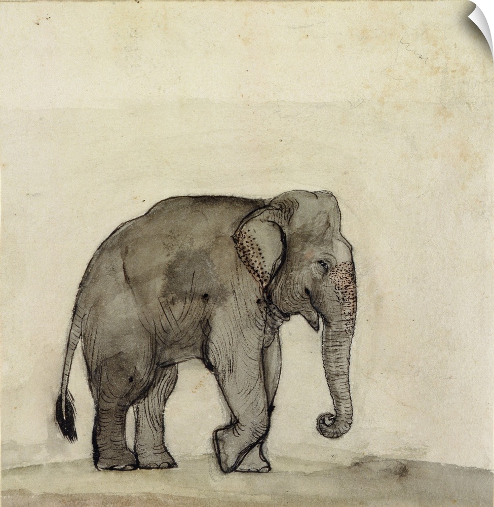 XYC225458 Elephant, c.1790 (pen