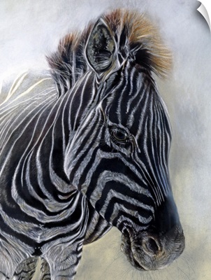 Equus Burchelli 1 (Detail), 2009