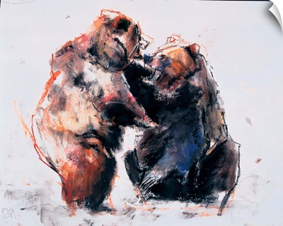 European Brown Bears, 2001