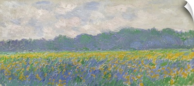 Field Of Yellow Irises At Giverny, 1887