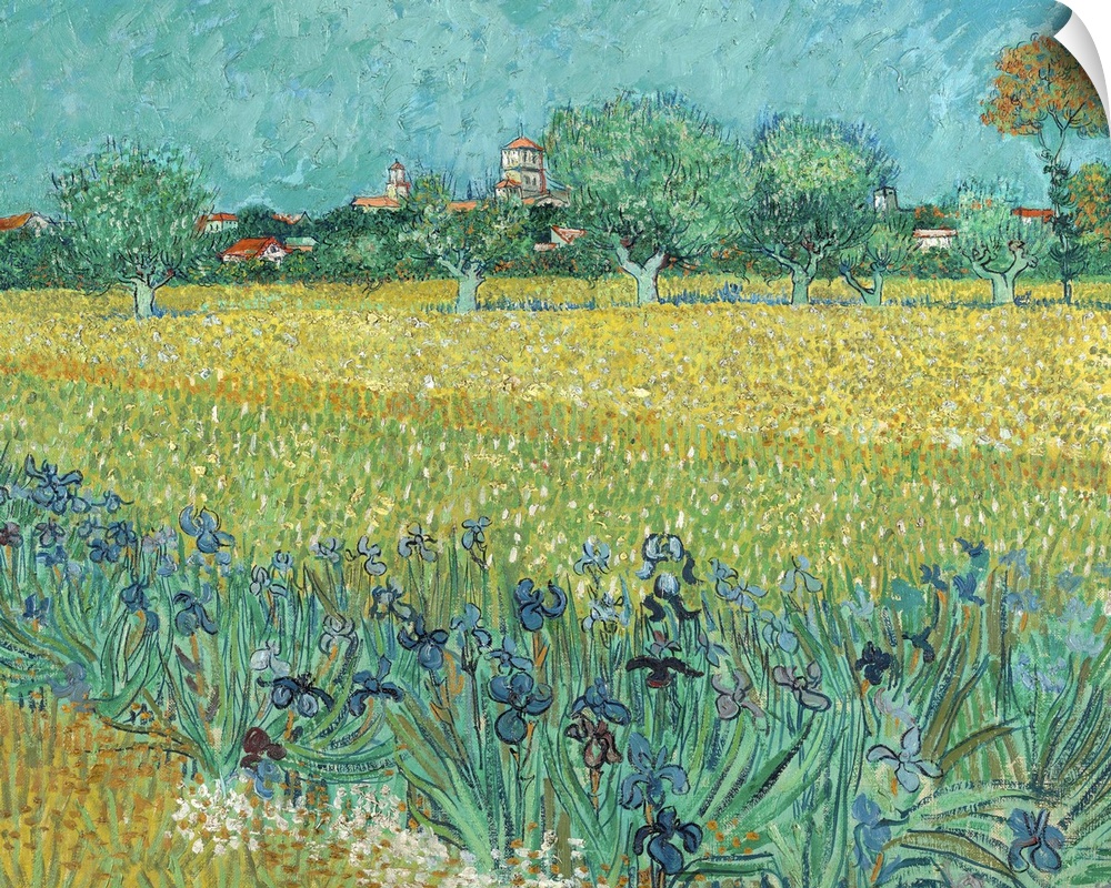 Field with Flowers near Arles, 1888, oil on canvas.  By Vincent van Gogh (1853-90).