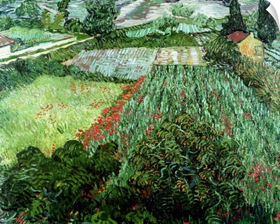 Field with Poppies, 1889