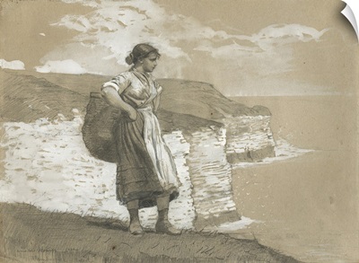 Flamborough Head, England, 1882