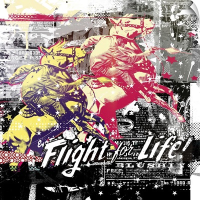 Flight For Life!, 2015