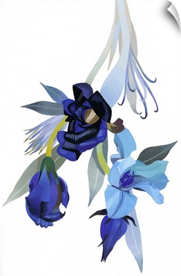 Flower Drawn With Blue Tone