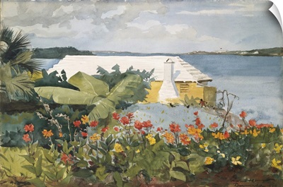 Flower Garden And Bungalow, Bermuda, 1899